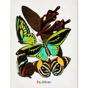 E.A. Seguy Papillons Pl.1 Butterfly Fine Art Print
