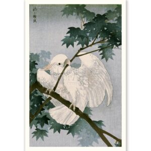 Cockatoo on Branch Ohara Koson - Art Print