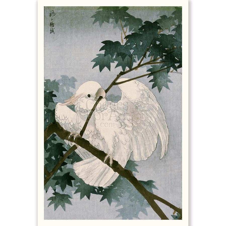 Cockatoo on Branch Ohara Koson - Art Print 1 Cockatoo on Branch Ohara Koson - Art Print