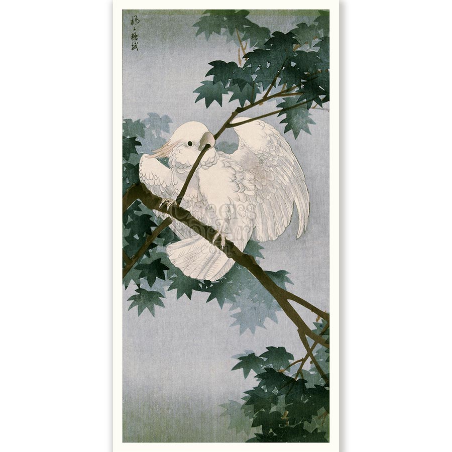 Cockatoo on Branch Ohara Koson - Art Print 4 Cockatoo on Branch Ohara Koson - Art Print - Image 4