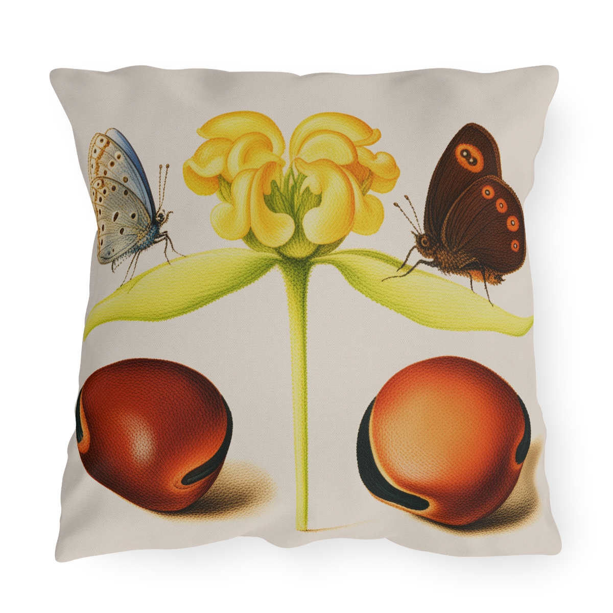 Georg Bocskay Jerusalem Sage & Beans. Outdoor Pillow A4-18