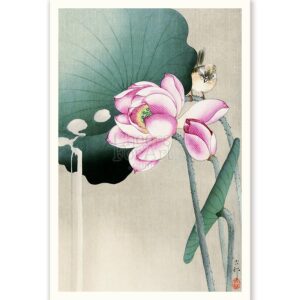 Bird and Lotus Ohara Koson - Art Print