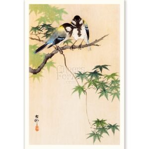 Birds on Maple Branch Ohara Koson - Art Print
