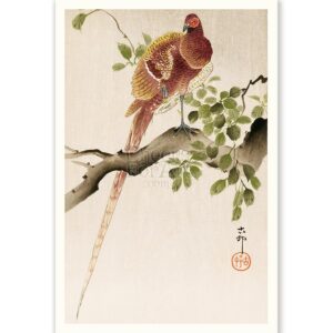 Copper Pheasant Ohara Koson - Art Print