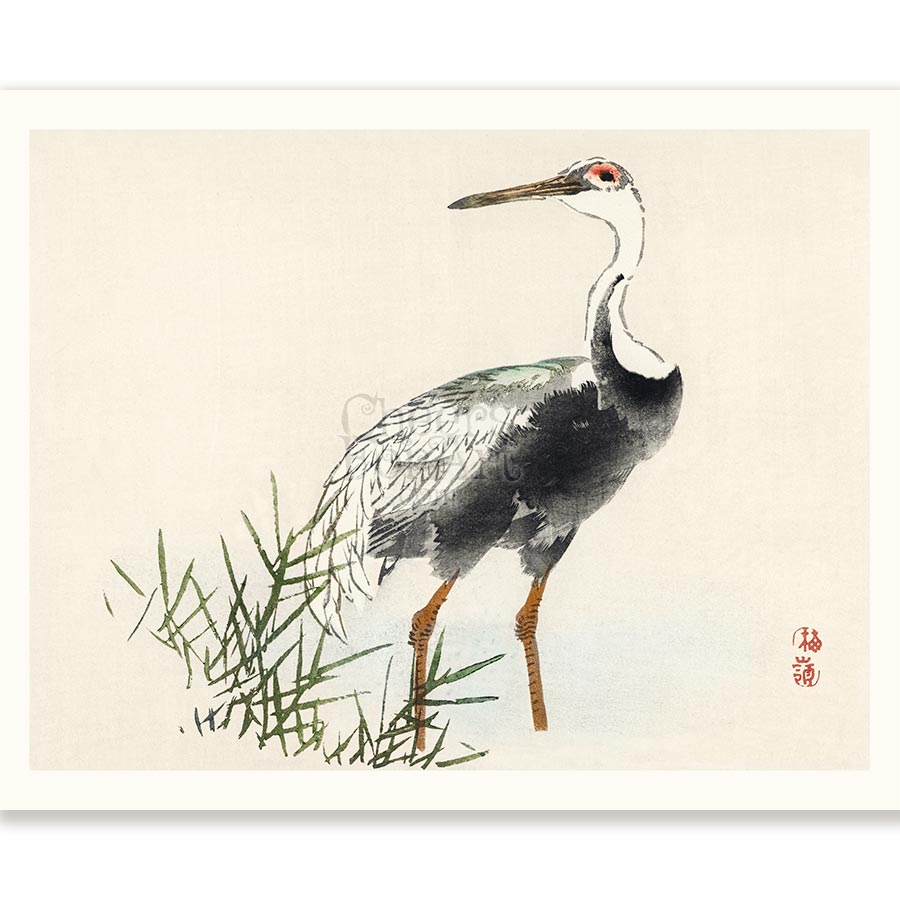 Kono Bairei Bird Set of 8, Mix & Match - Art Print - Image 4