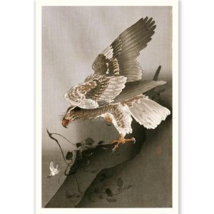 Eagle Hunting Ohara Koson - Art Print