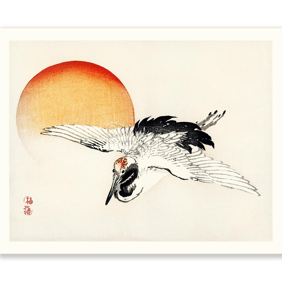 Flying Crane Kono Bairei - Art Print