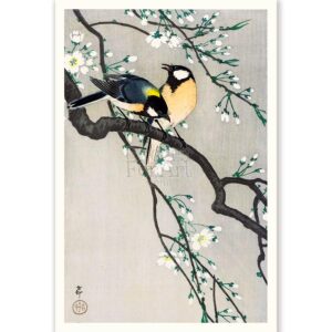 Great Tits On Cherry Blossom Branch Ohara Koson - Art Print
