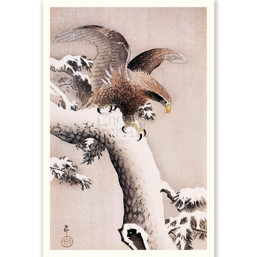 Hawk, Pine and Snow Ohara Koson - Art Print 1 Hawk, Pine and Snow Ohara Koson - Art Print