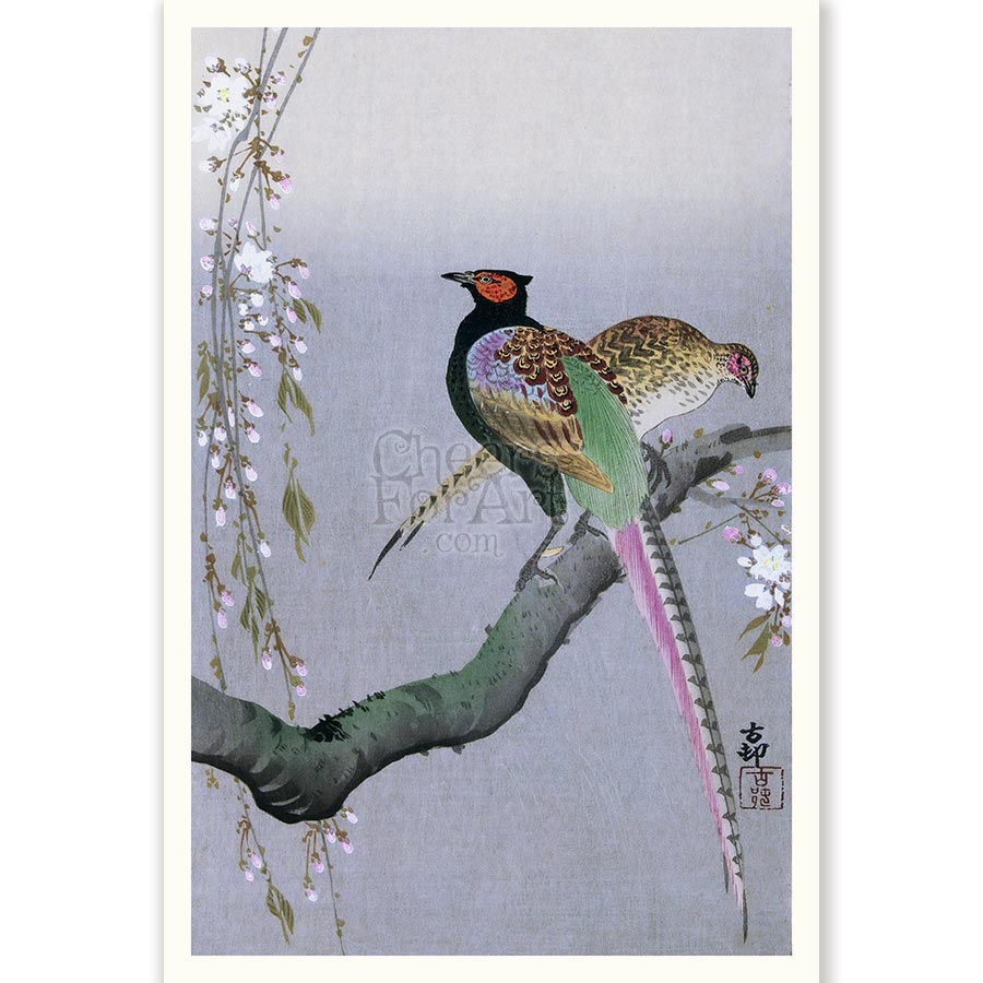 Japanese Pheasants and Cherry Blossom Ohara Koson - Art Print