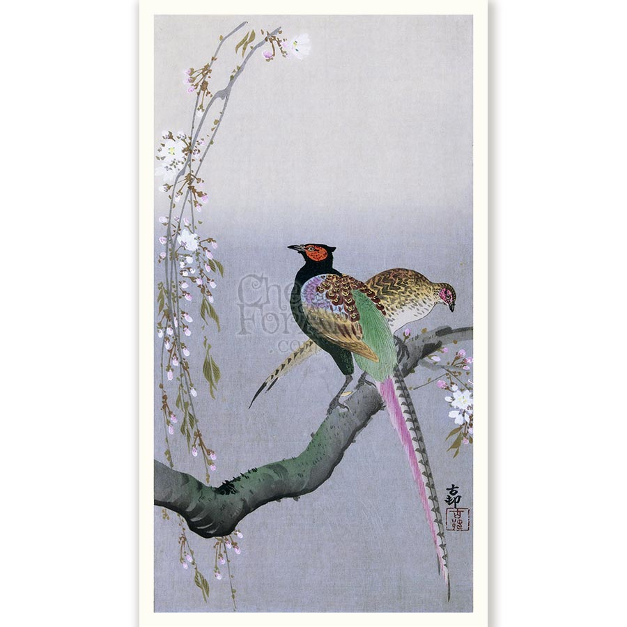 Japanese Pheasants and Cherry Blossom Ohara Koson - Art Print - Image 8