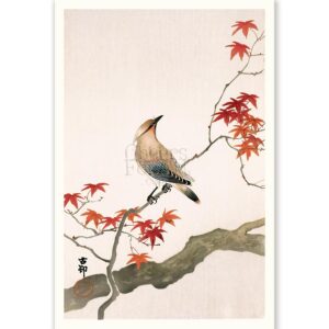 Japanese Plague Bird Ohara Koson - Art Print