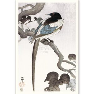 Magpie on Branch Ohara Koson - Art Print