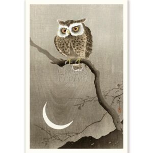 Owl on Branch in Moonlight Ohara Koson - Art Print