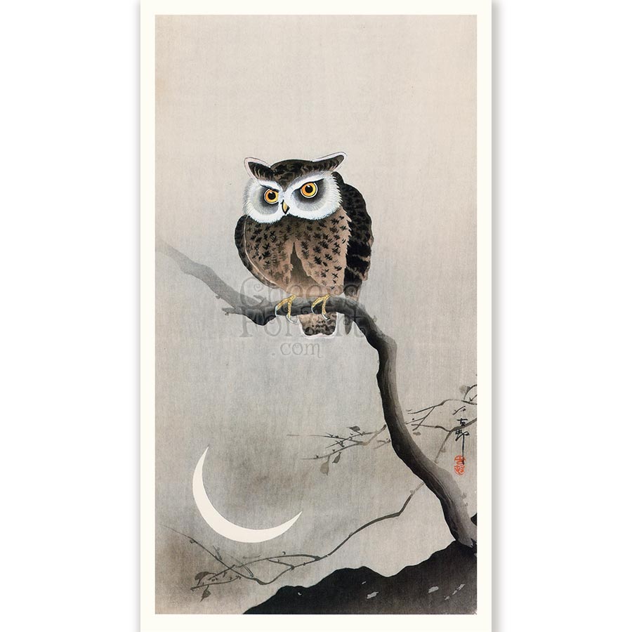 Owl on Branch, Moon Ohara Koson - Art Print - Image 8