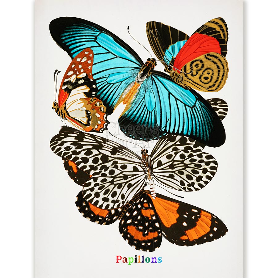 E.A. Seguy Papillons Pl.11 Butterfly Fine Art Print