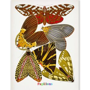 E.A. Seguy Papillons Pl.14 Butterfly Fine Art Print E.A. Seguy Papillons Pl.14 Butterfly Fine Art Print