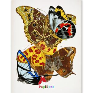 E.A. Seguy Papillons Pl.15 Butterfly Fine Art Print