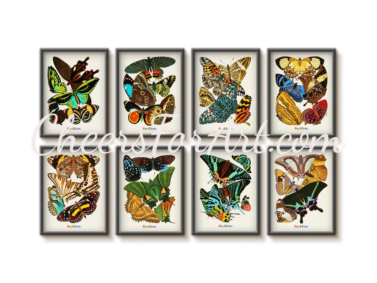 E.A. Seguy Papillons Pl.14 Butterfly Fine Art Print 3 E.A. Seguy Papillons Pl.14 Butterfly Fine Art Print - Image 3