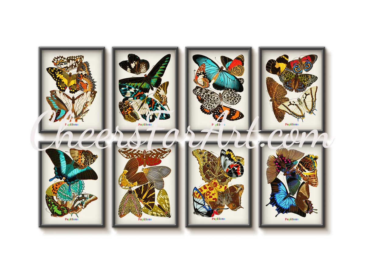 E.A. Seguy Papillons Pl.14 Butterfly Fine Art Print 2 E.A. Seguy Papillons Pl.14 Butterfly Fine Art Print - Image 2
