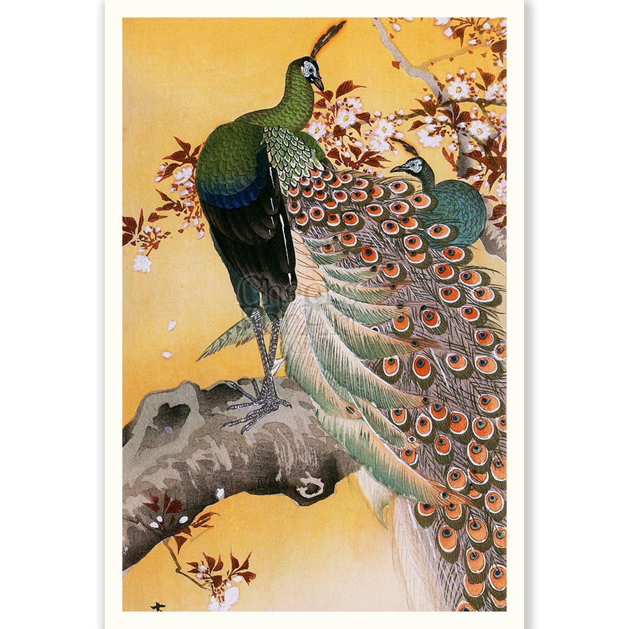 Peacock on Branch Ohara Koson - Art Print