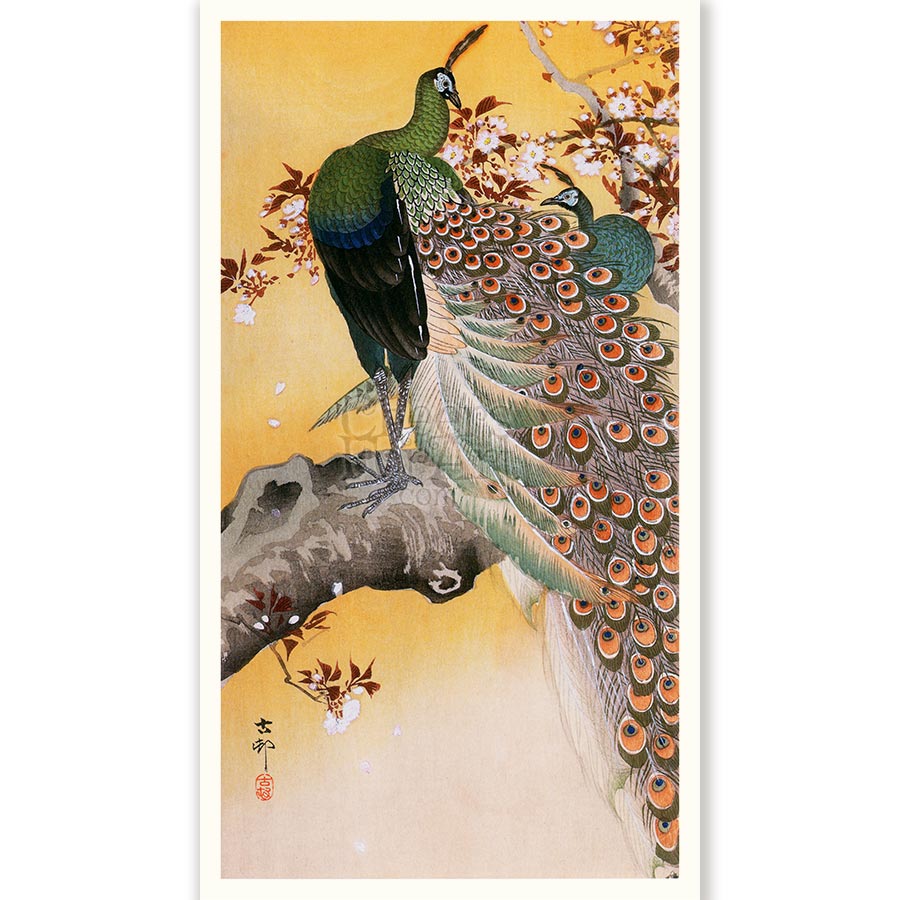 Peacock on Branch Ohara Koson - Art Print - Image 8