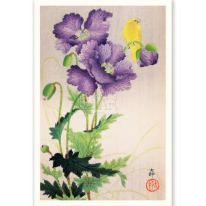 Purple Poppies and Canary Ohara Koson - Art Print