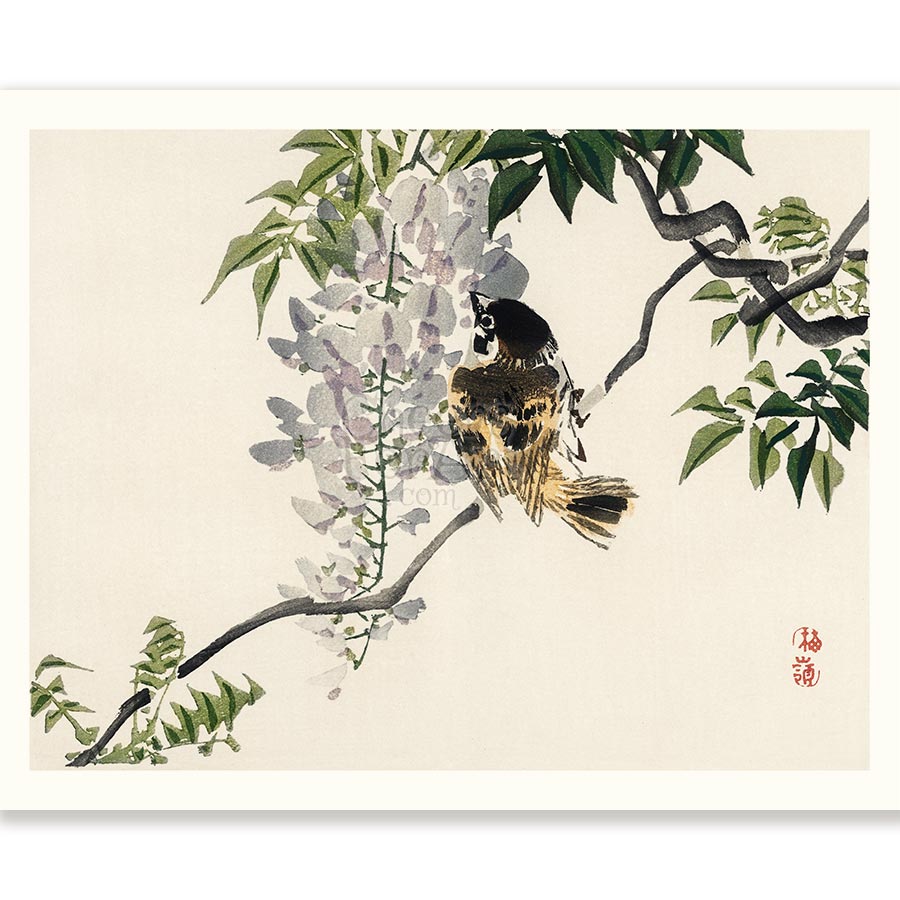 Kono Bairei Bird Set of 8, Mix & Match - Art Print - Image 9