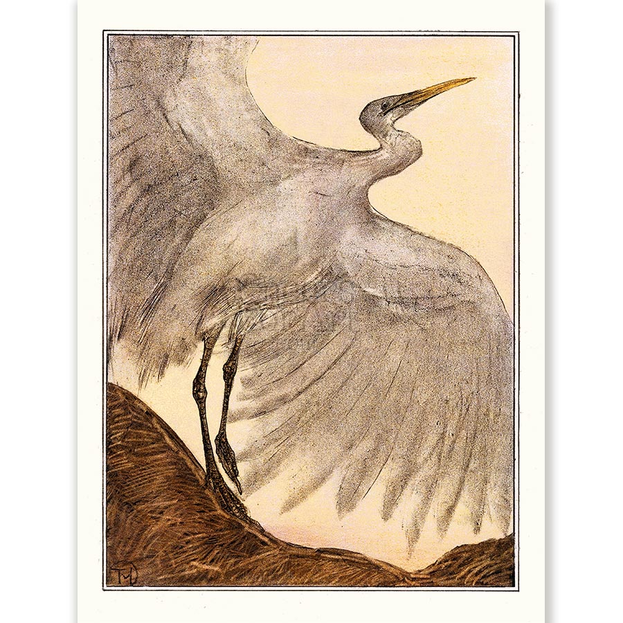 Theo van Hoytema Egret - Art Print 1 Theo van Hoytema Egret - Art Print