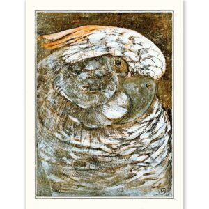 Theo van Hoytema Head of a Parrot - Art Print
