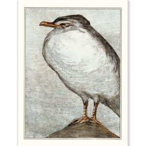 Theo van Hoytema Herring Gull - Art Print
