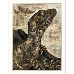 Theo van Hoytema Iguana - Art Print