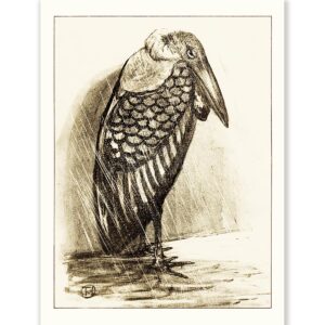 Theo van Hoytema Marabou in the Rain - Art Print