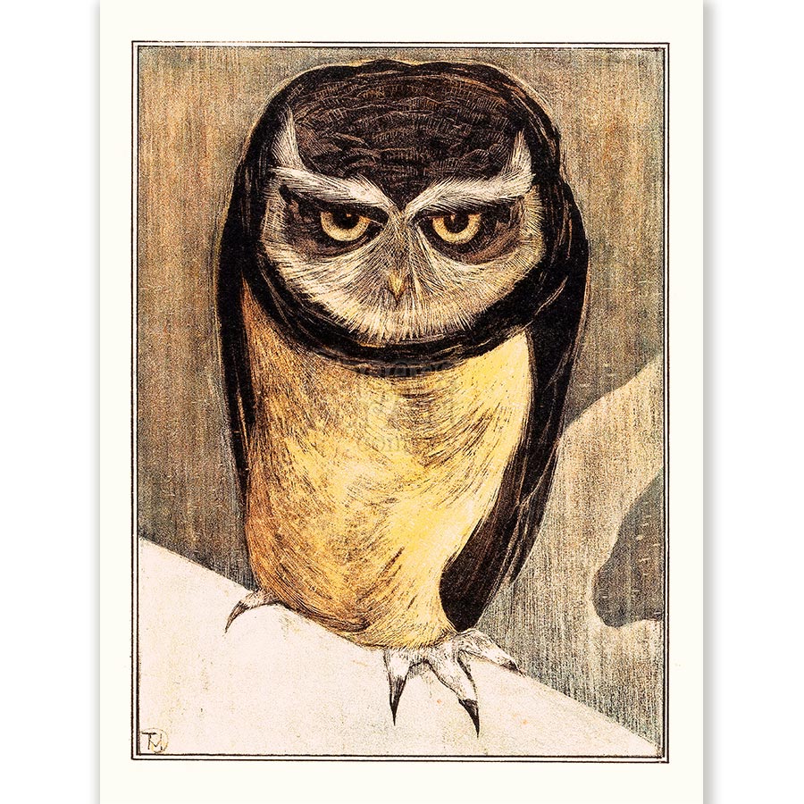 Theo van Hoytema Owl - Art Print