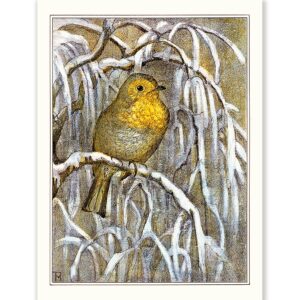 Theo van Hoytema Robin on Snowy Tree Branch - Art Print