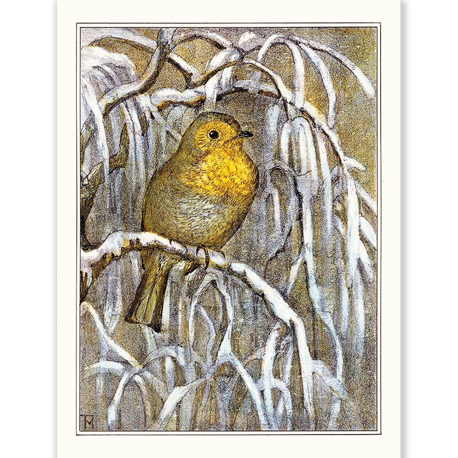 Theo van Hoytema Robin on Snowy Tree Branch - Art Print 1 Theo van Hoytema Robin on Snowy Tree Branch - Art Print
