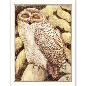 Theo van Hoytema Snowy Owl - Art Print