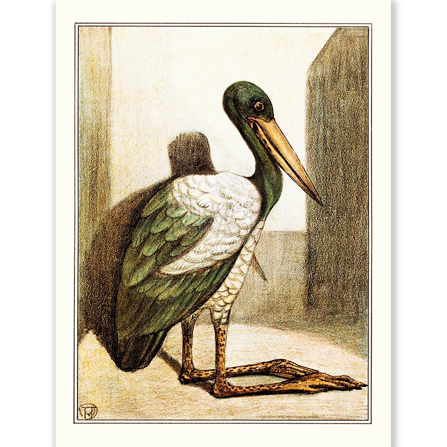 Theo van Hoytema Stork - Art Print 1 Theo van Hoytema Stork - Art Print