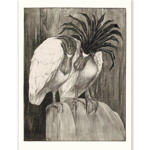 Theo van Hoytema Two Barge Herons - Art Print
