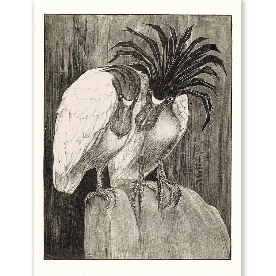 Theo van Hoytema Two Barge Herons - Art Print 1 Theo van Hoytema Two Barge Herons - Art Print