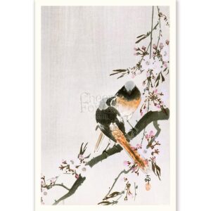 Two Sable Red Tails Ohara Koson - Art Print
