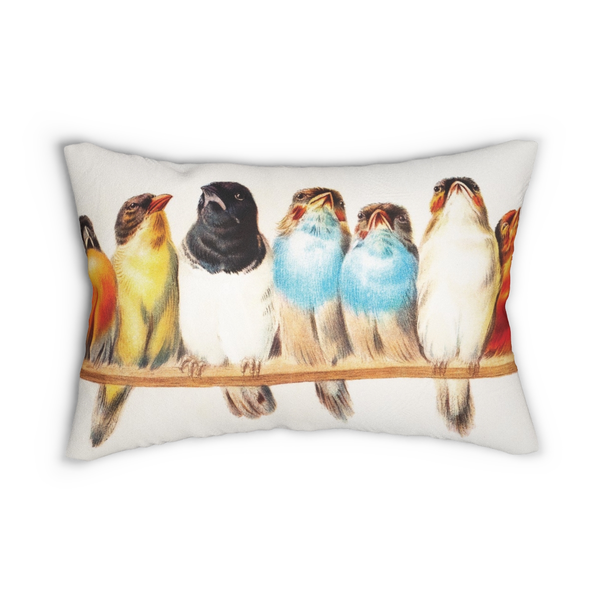 Hector Giacomelli A Perch Of Birds Lumbar Pillow  D15-b