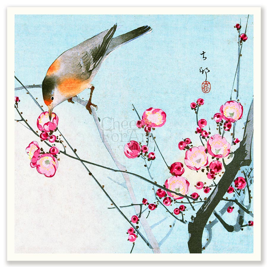 Bird on Blossom Branch Ohara Koson - Art Print