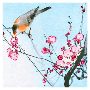 blog 2 1 e1709362662722