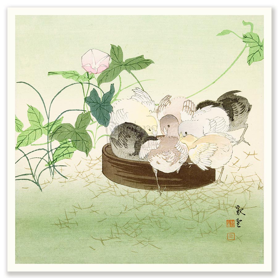 Chicks Ohara Koson - Art Print