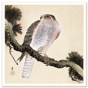 Hawk on Pine Tree Ohara Koson - Art Print