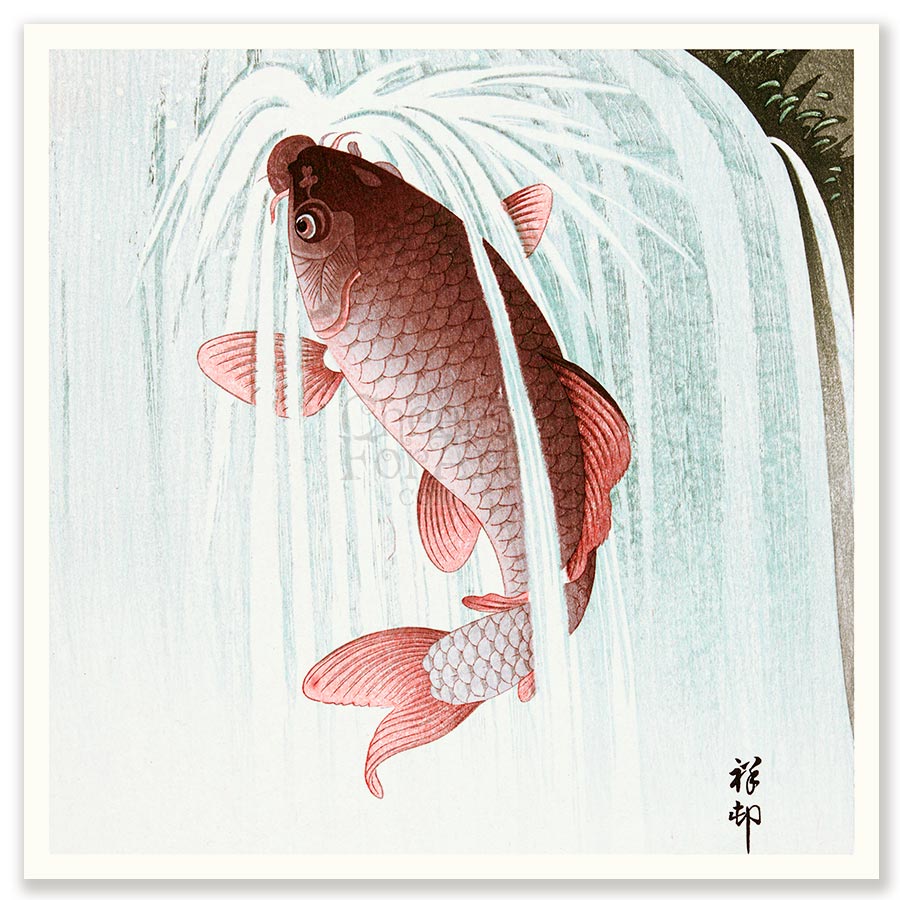 Jumping Carp Ohara Koson - Art Print