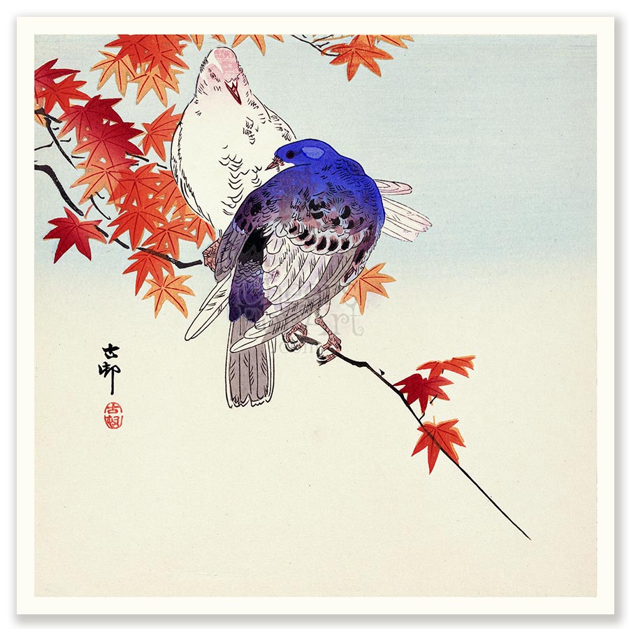 Pigeons and Maple Leaves Ohara Koson - Art Print
