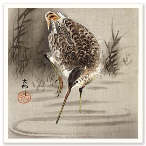 Snipe Ohara Koson - Art Print