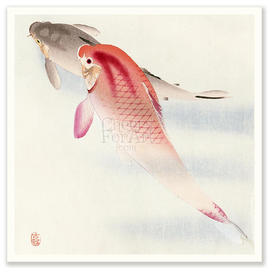 Two Koi Fish Ohara Koson - Art Print